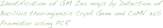 Identification of GM Zea mays by Detection of Bacillus thuringiensis Cry1A Gene and CaMV 35S Promotor using PCR
