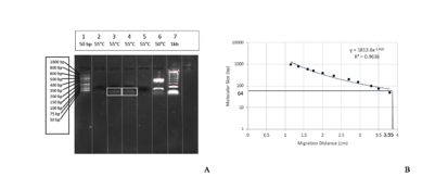 Einstein:Users:biocore:Desktop:figure1.pdf