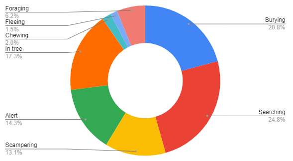 Figure 2a