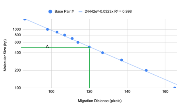 Figure 4b